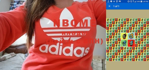 гашик Покачи