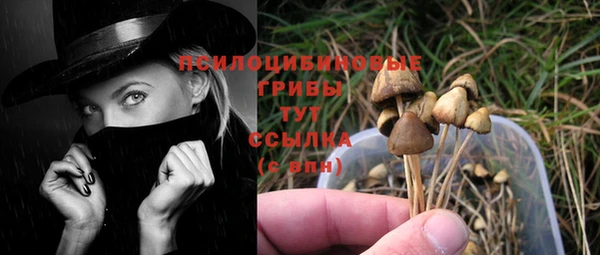 МДПВ Абинск