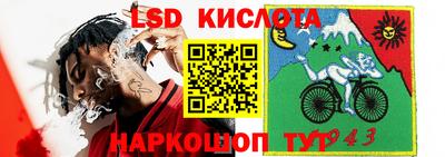 амф Кандалакша
