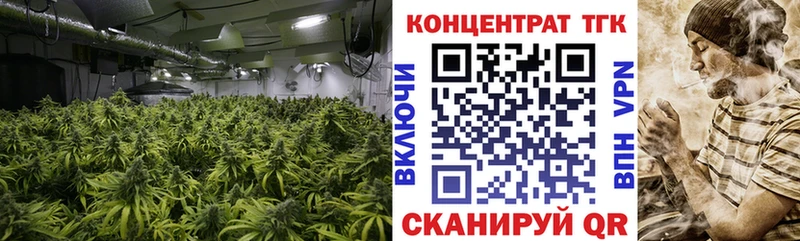 мориарти как зайти  Лосино-Петровский  Дистиллят ТГК THC oil 