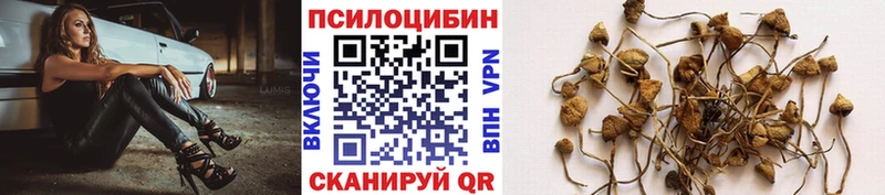 Псилоцибиновые грибы прущие грибы  гидра ТОР  Лосино-Петровский 