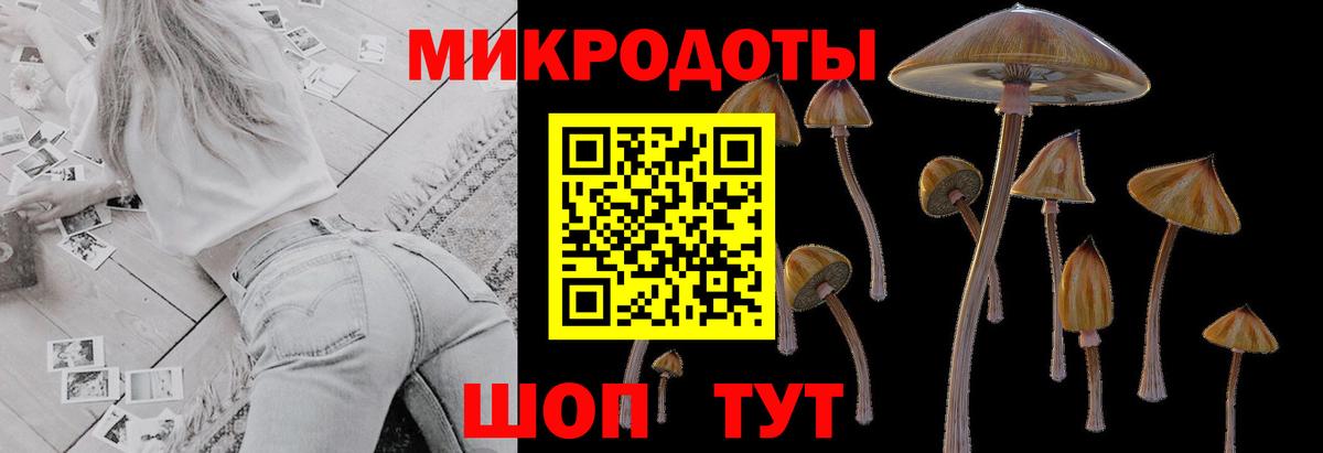 Лосино-Петровский  Галлюциногенные грибы Psilocybe  Вход с VPN 