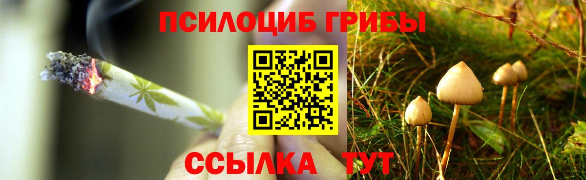 Галлюциногенные грибы Psilocybe Лосино-Петровский
